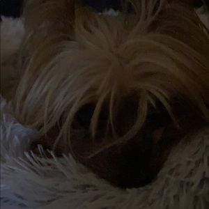 Meet your Posher, Joe